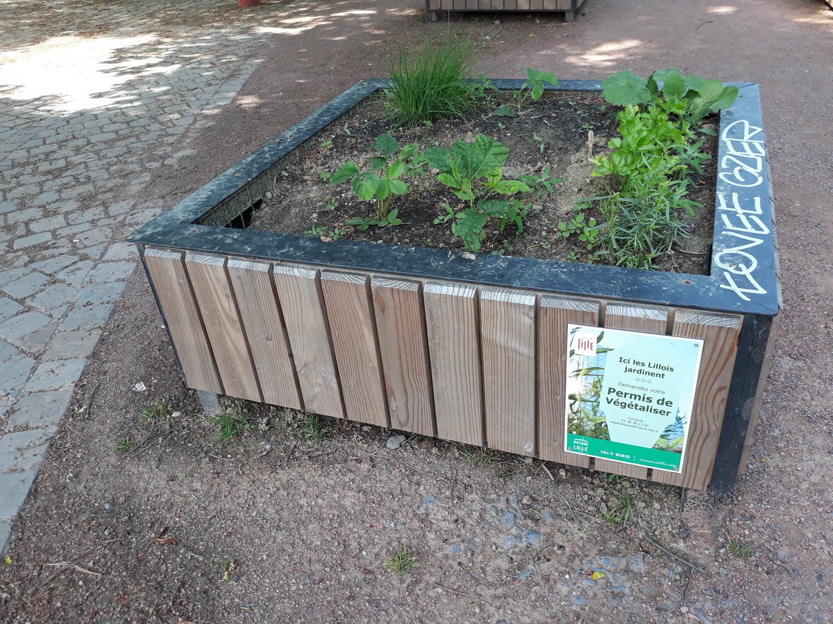 chbouchart's tweet photo. Là fête du jeu au parc Lebas en partenariat avec le centre social la buisette où l #ESS est présente et où les nombreuses familles peuvent admirer les bacs à culture #permisdevegetaliser @Daleux @eluEs_eelvLille https://t.co/NpTF19zHmH