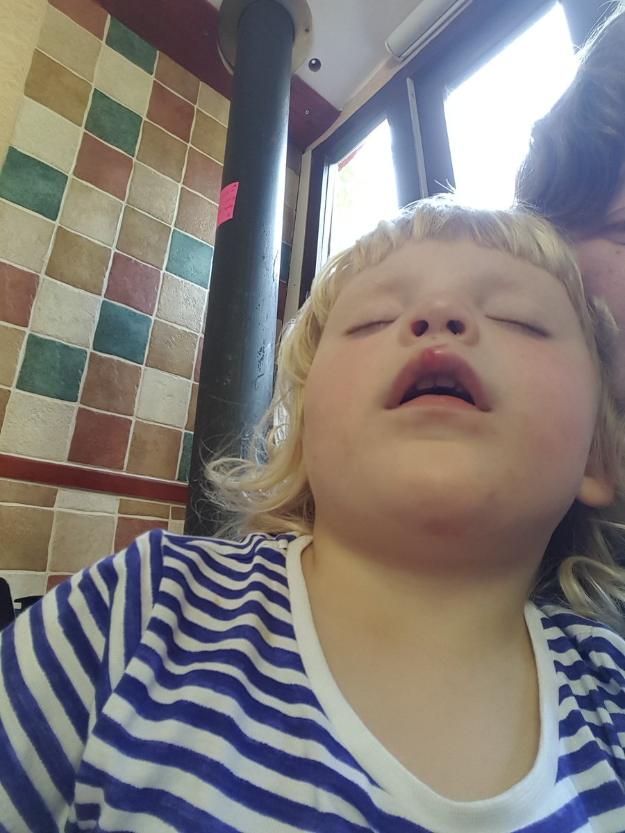 Tom & Bex Murkin (@bexmurkin) on Twitter photo It's all become too much for youngest crew member (not counting the two yet to be born) so time for a nap. <a href="/NBtattylucy/">Tatty Lucy</a> #BCNChallenge It's all become too much for youngest crew member (not counting the two yet to be born) so time for a nap. <a href="/NBtattylucy/">Tatty Lucy</a> #BCNChallenge