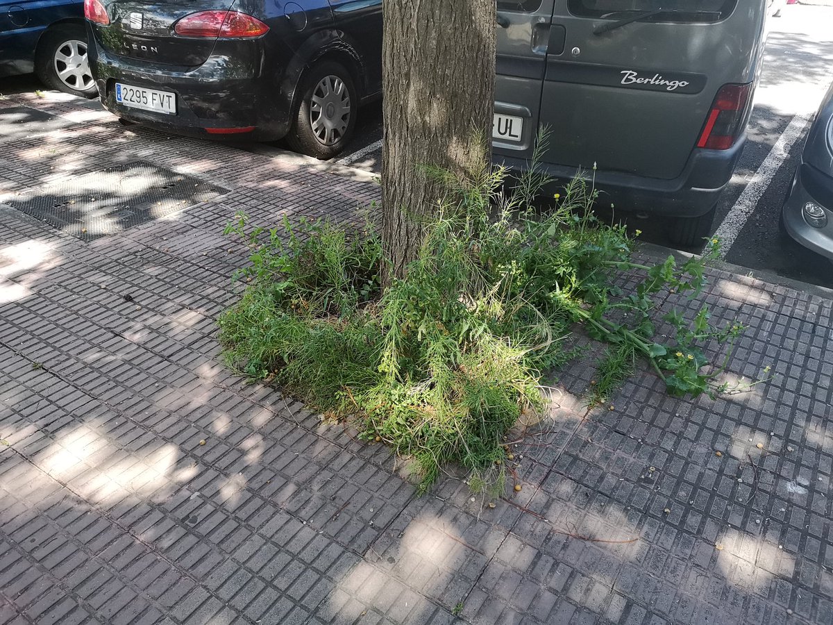 MayoralMarc's tweet photo. @JSCLH @nuriamarinlh Mira por si quieres ver más zonas verdes en #Hospitalet https://t.co/ZogImDAmZR