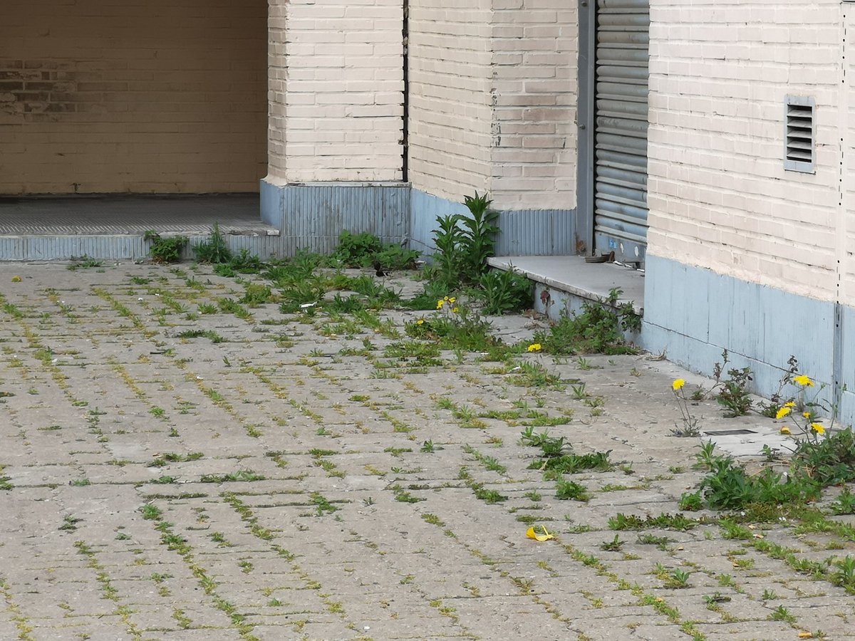 MayoralMarc's tweet photo. @JSCLH @nuriamarinlh Mira por si quieres ver más zonas verdes en #Hospitalet https://t.co/ZogImDAmZR