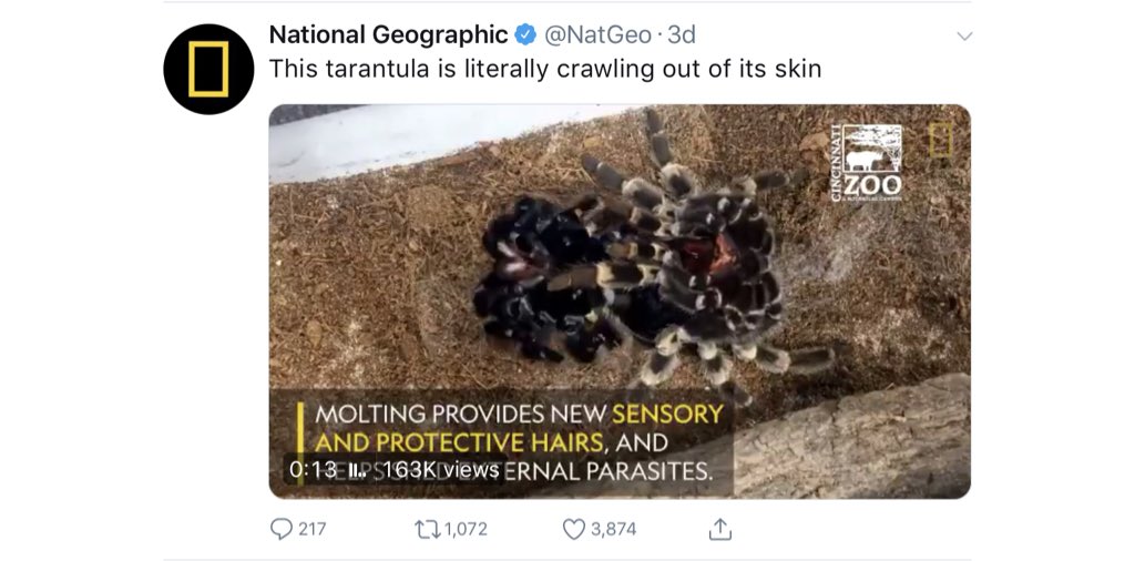 oakandsterling's tweet photo. @NatGeo FYI here's how the captions look when viewing in the timeline. https://t.co/F7G2Kao5Sw