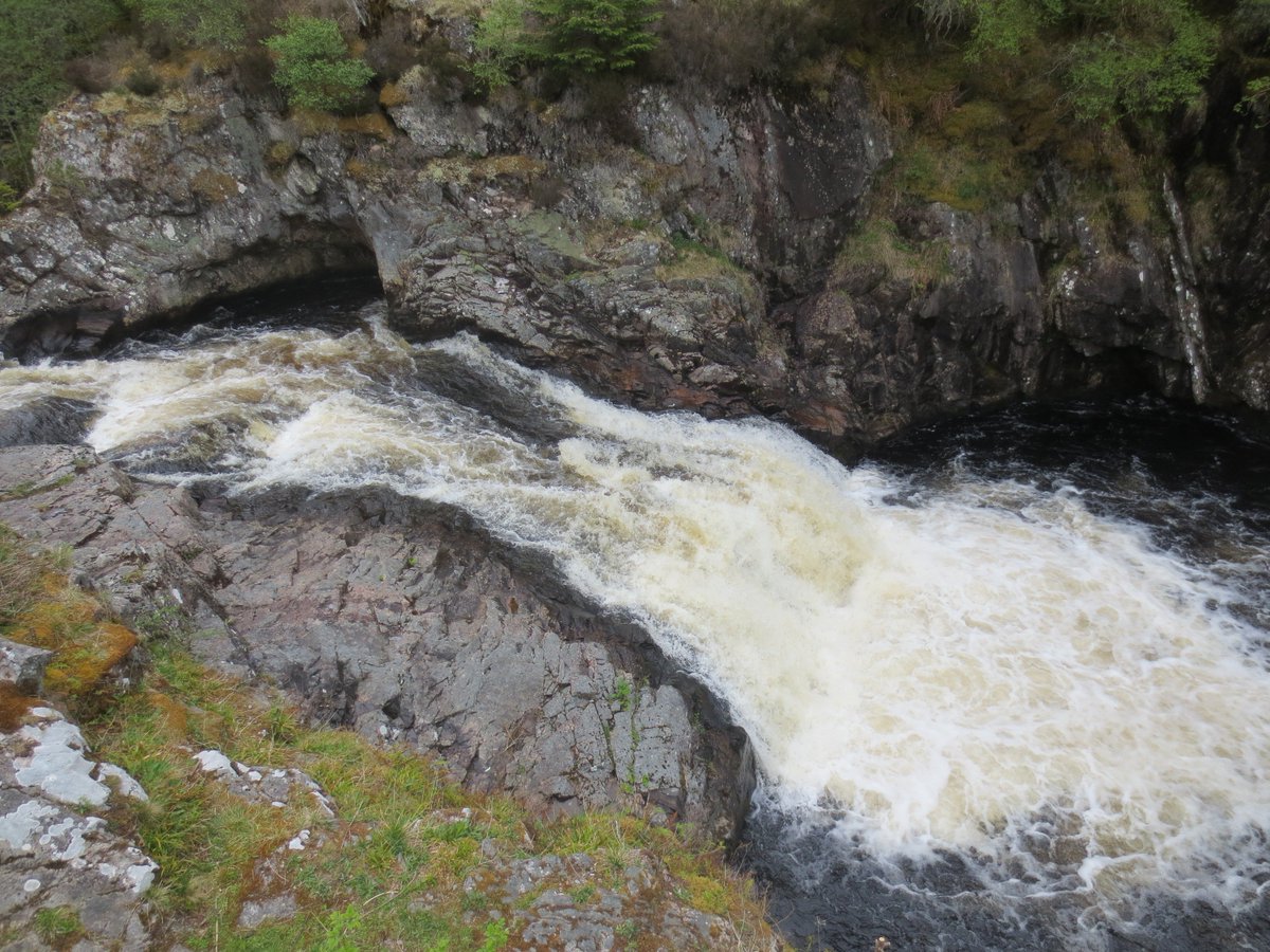 ClanCattan's tweet image. No salmon louping #FallsofShin