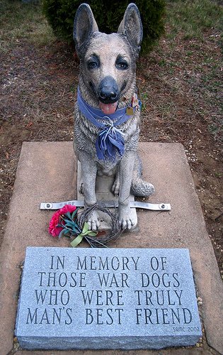 Richard_Heyn's tweet image. So very true. &amp;gt; RT @BiologistDan: On this #MemorialDayWeekend2018 I'd like to remind everyone that animals have died in the name of human wars.