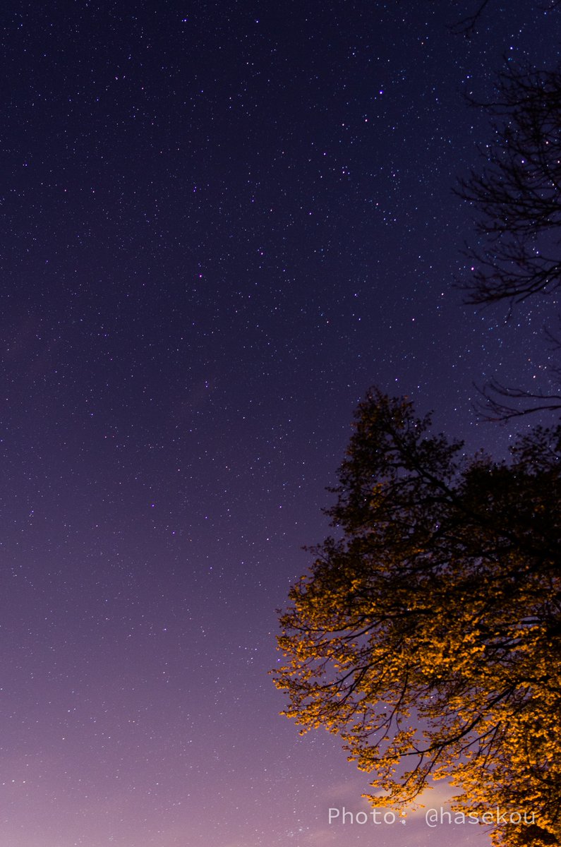 星の綺麗な夜