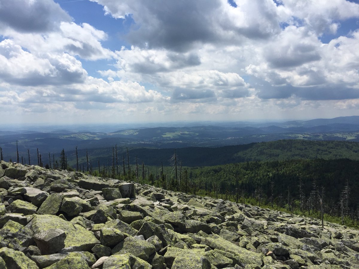 c_hens71's tweet photo. Blick vom Lusen auf den Bayerwald. #sevensummits https://t.co/N1Hp2qhwwL