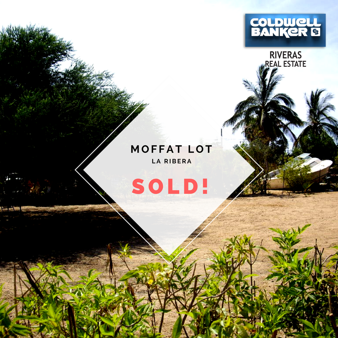 CBRiveras's tweet photo. Do you want to sell a lot in La Ribera? We can do it... list with us!
#cbriveras #realtors #realestate #sold #laribera #bajalovers https://t.co/m00c5AAtBn