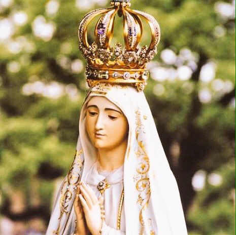 1osCristianos's tweet photo. La oración más antigua dirigida a la Virgen. “Sub tuum presidium”  -

Bajo tu amparo nos acogemos,
santa Madre de Dios;
no deseches las súplicas
que te presentamos https://t.co/tpMe8qbsRg