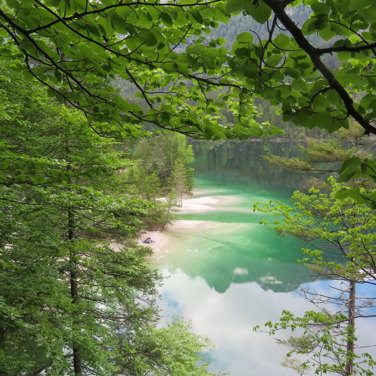 I verdi riflessi del lago di Tovel

#agritursolasna #travel #lagoditovel 
#natura