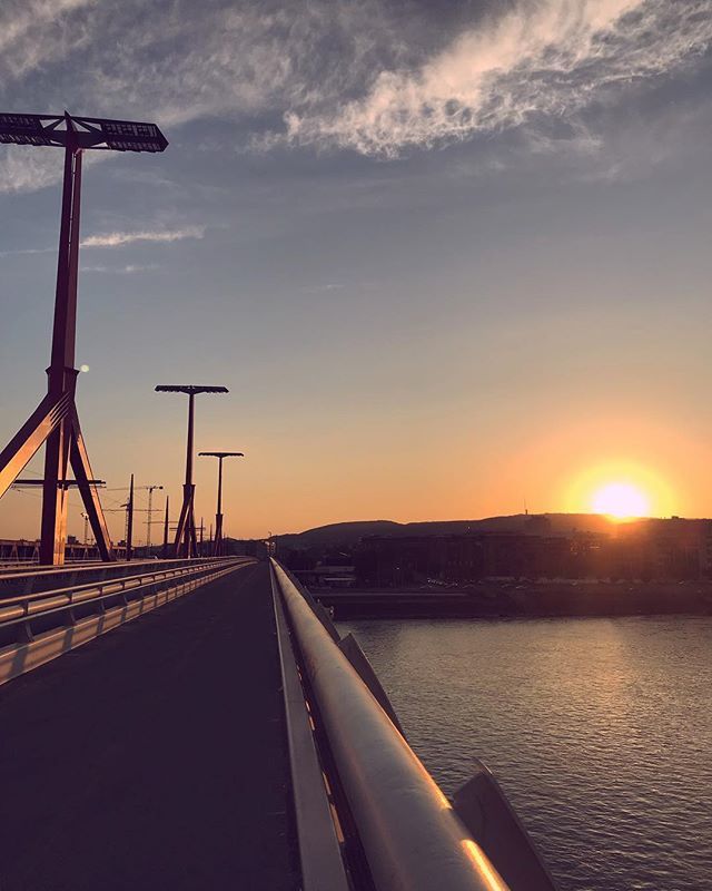 PalsHostel's tweet photo. sunset walks to #kopaszi #budapest #budapestagram #sunset #bridge #sky #skyporn #danube #river #travel #travelgram #hostellife #palshostel https://t.co/hW63qls6Op #Budapest #palshostel https://t.co/XsIlzjwrm4