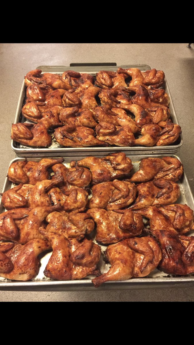 First morning chicken run ready to go!