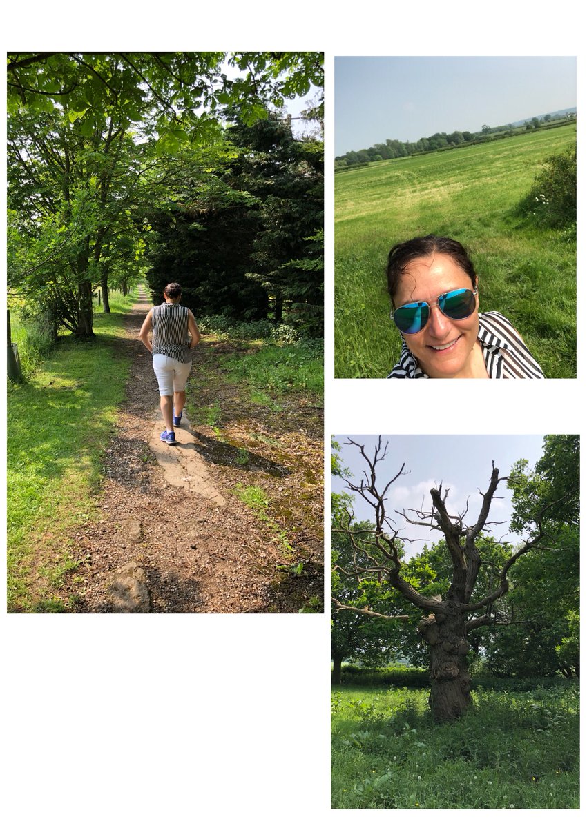 🌳🐎🦌🌿🦔🐿🐓WOW! Quite the walk in the country. There’s just nothing like the magical English countryside to feed the soul. 

#freedomtochoose #worklifebalance #walkinthewoods #dianasdesignyourlife