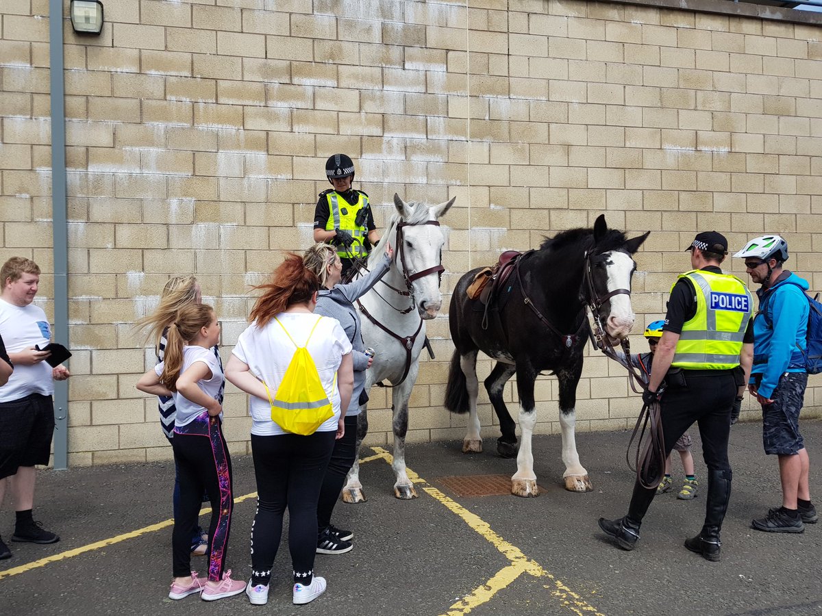 BraesHigh's tweet photo. Police horses Brora and Stirling making friends at #BraesFamFun2018 https://t.co/IWvNiPGQbS