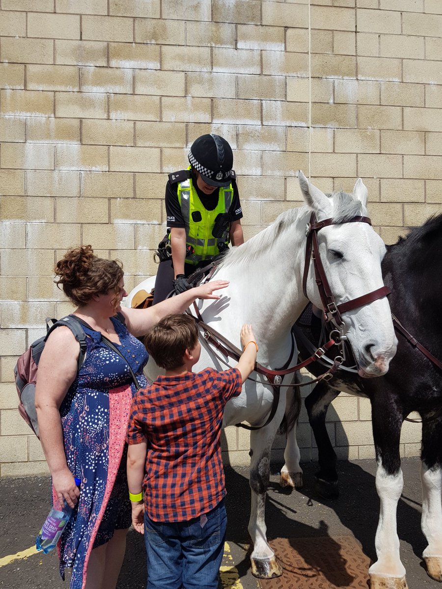 BraesHigh's tweet photo. @BraesHigh @FalkirkPolice @policescotland More photos of Police horses Brora and Stirling at #BraesFamFun2018 https://t.co/jjFIDMM50d