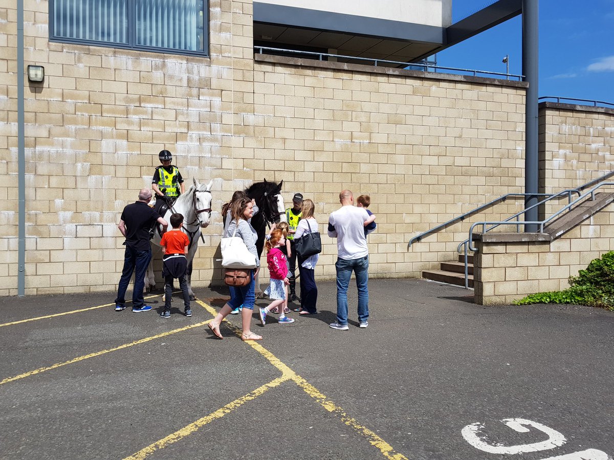 BraesHigh's tweet photo. @BraesHigh @FalkirkPolice @policescotland More photos of Police horses Brora and Stirling at #BraesFamFun2018 https://t.co/jjFIDMM50d