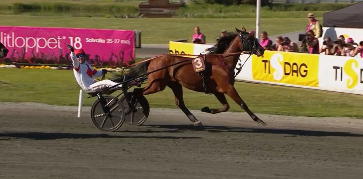 Joe_Zagari's tweet photo. #PlatonFace 🇸🇪 #RajaMirchi won #HarperHanoversLopp 🇸🇪🏆 Group 2⃣ #UETMastersSeries on @Solvalla with @lutfikolgjini1 in 1.13.0 on 3140 over #CallMeKeeper 🇸🇪 and #HeartbreakerVS
[🏆 #Elitloppet18 🇸🇪] https://t.co/k3IxJyD0lo