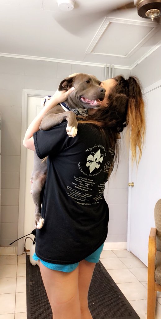 lexieromee__'s tweet photo. Whoever said pits were mean lied, they just like being babied 😍❤️ karma #savethepits https://t.co/55SBP59y3c