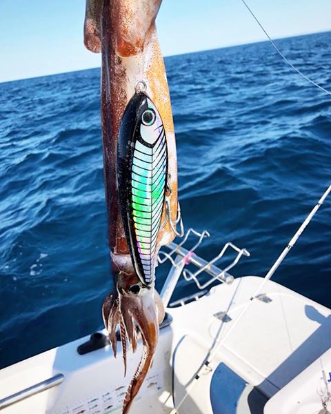 Fishing_worldus's tweet photo. Our DeathWobble range of sinking stickbaits literally catches everything 😂 https://t.co/0ACECP0YZo