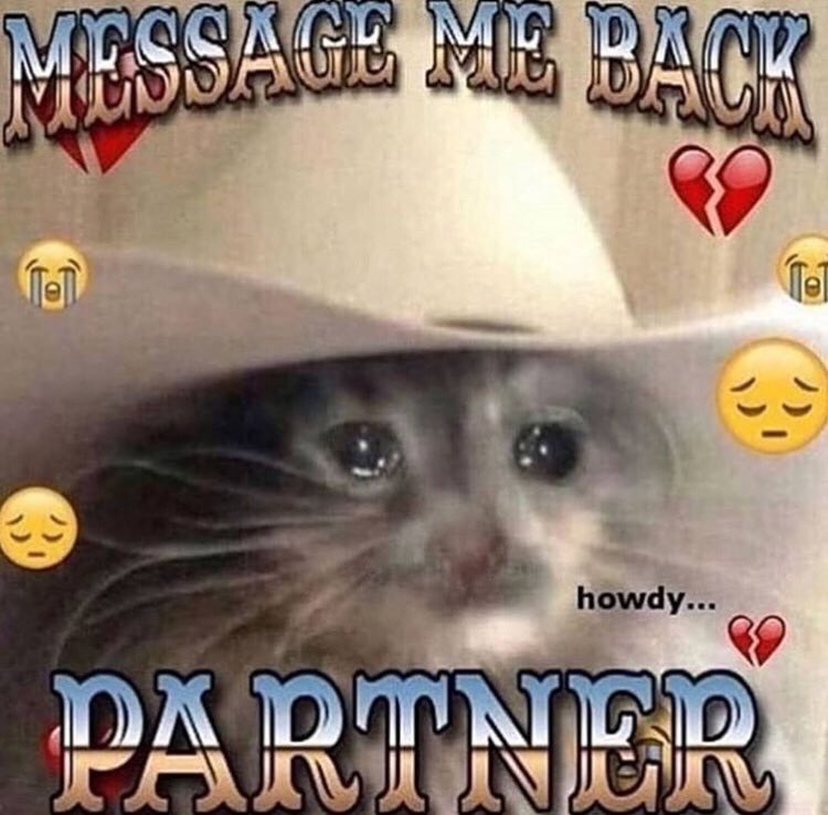 xsherstenx's tweet photo. Me trying to shoot my shot with @jakeow for the 478th time: https://t.co/KD6gu5Uq5D