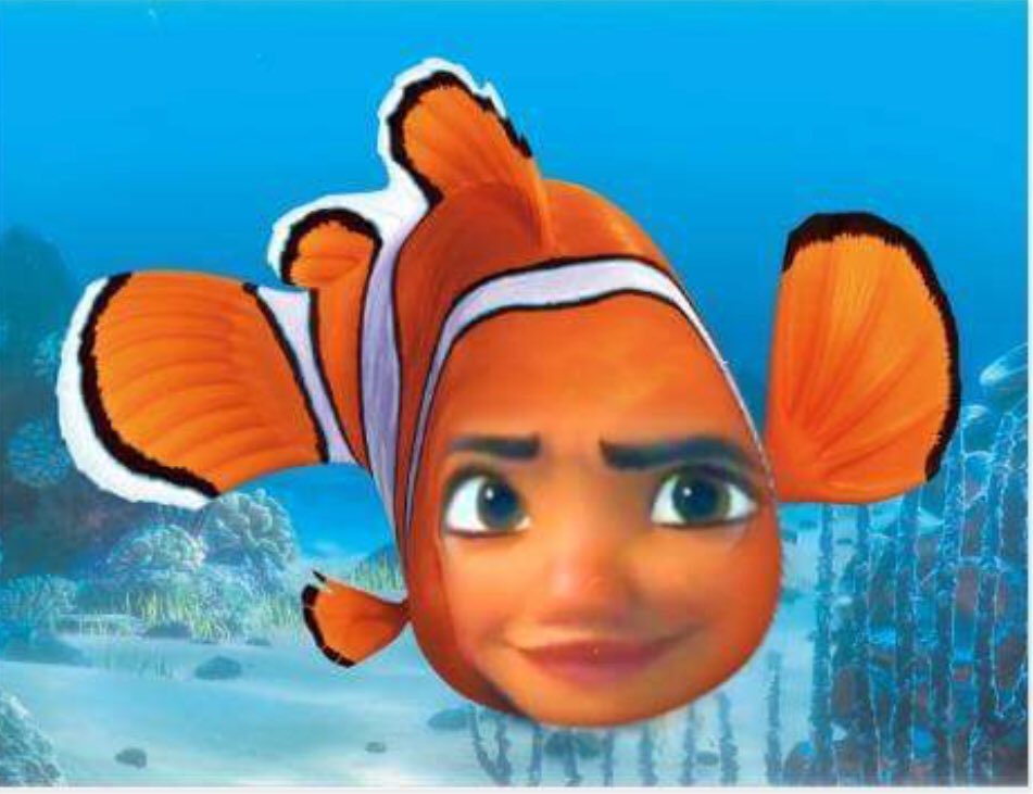 ElfHunting's tweet image. Moana Nemo says eat your vegetables #RepealedThe8th #SaturdayMorning #DuppyFreestyle #MemorialDayWeekend2018 #hometovote #ENGvPAK #HarryStylesLiveOnTourBrazil