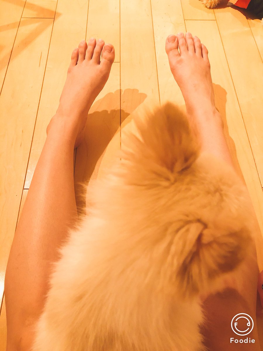 飛鳥凛 台本読んでたら足の間におすわりしてきた ぎゃああああかんわいいいいいいいいいひいいいいいい