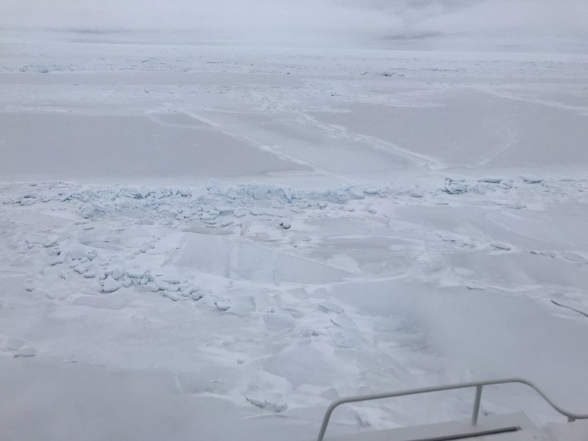 CelesteKellock's tweet image. During no comms we went in to the ice and back again! Check out the water freezing around the #JCR and our icy views... #UKinArctic #FramStrait