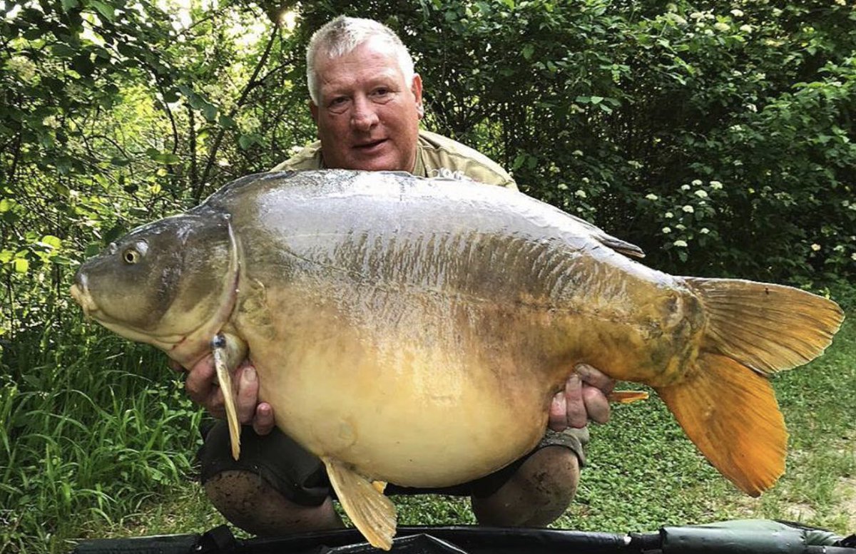 Busy morning in peg 8 for Simon with this chunky 47lb mirror he also backed this up with a mid thirty common. #carpy