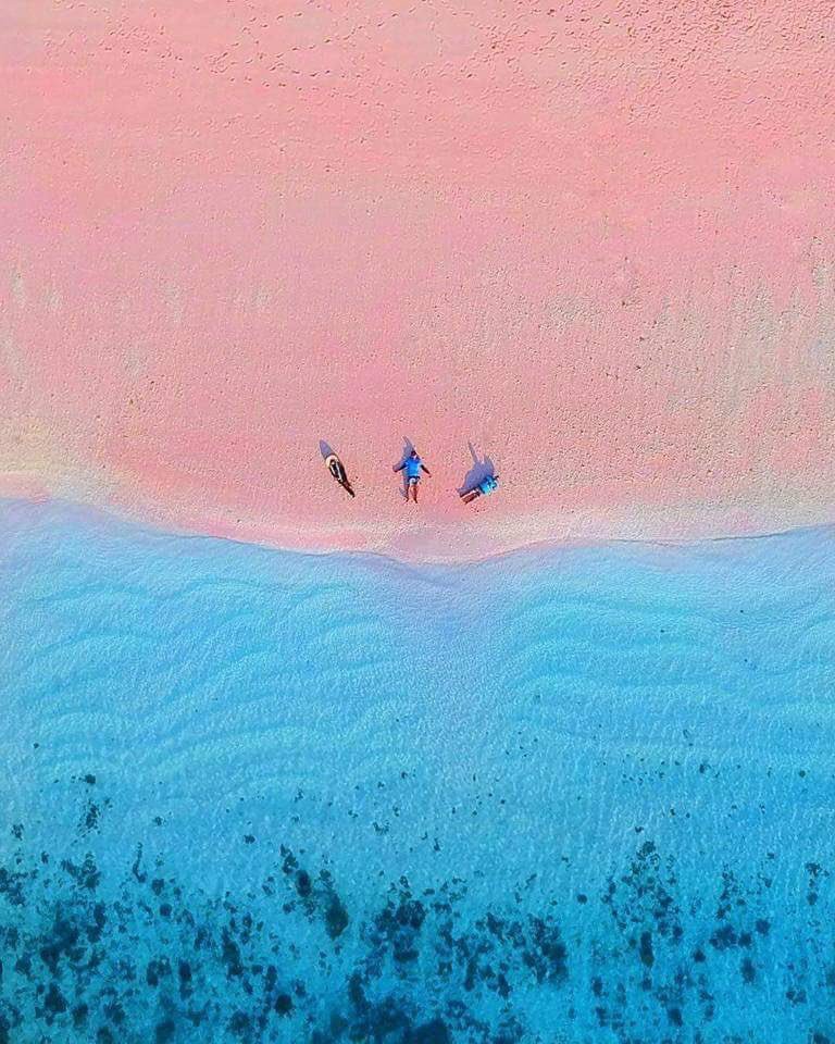 🎈 tweet media