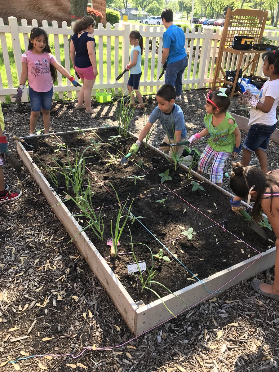 msdiazclase's tweet photo. Gracias @madisongarden44 por dejarnos plantar en el jardín de nuestra escuela #WeAre44 #madison44 https://t.co/ojUjnXB3Sx