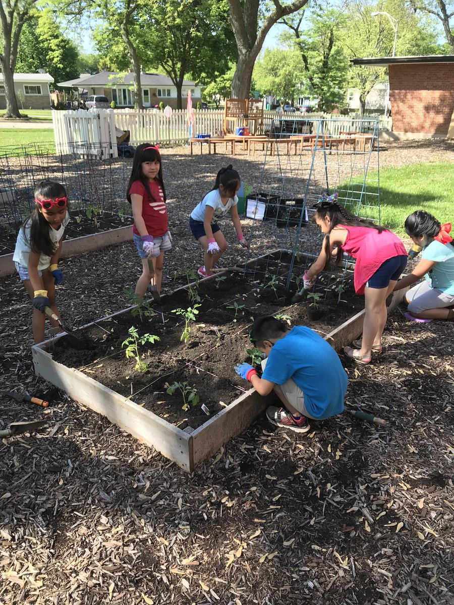 msdiazclase's tweet photo. Gracias @madisongarden44 por dejarnos plantar en el jardín de nuestra escuela #WeAre44 #madison44 https://t.co/ojUjnXB3Sx