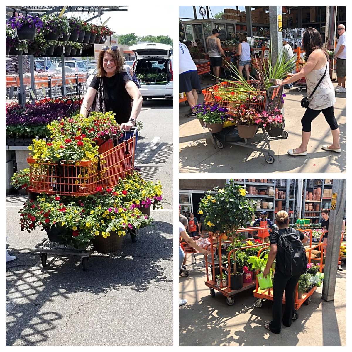 Finally the SUN ☀️ joined us on a Holiday Weekend!!! @LemmaTony <a href="/leace_m/">george leace</a> <a href="/DipippaPat/">Patrick DiPippa</a> <a href="/KurtWeissGH/">Kurt Weiss GH</a> <a href="/MatthewWoodsgh/">Matthew</a> <a href="/rwoodsgh/">renee wood</a> <a href="/Mcgalec99/">Kelly Schnatter</a> <a href="/StinchcombAssoc/">Stinchcomb Nursery Service</a> <a href="/DHribal/">Donna Hribal</a> <a href="/Mike_Mahler/">Mike Mahler</a> <a href="/DanStuppiello/">Dan Stuppiello</a> <a href="/JasonArigoni/">Jason Arigoni</a> <a href="/KurtzFarmsCT/">Kurtz Farms</a> <a href="/GardenStateGSG/">Garden State Growers</a> <a href="/ics_plants/">ICS_PlantSpecialists</a> <a href="/MGIflowers/">Michaels Greenhouses</a>