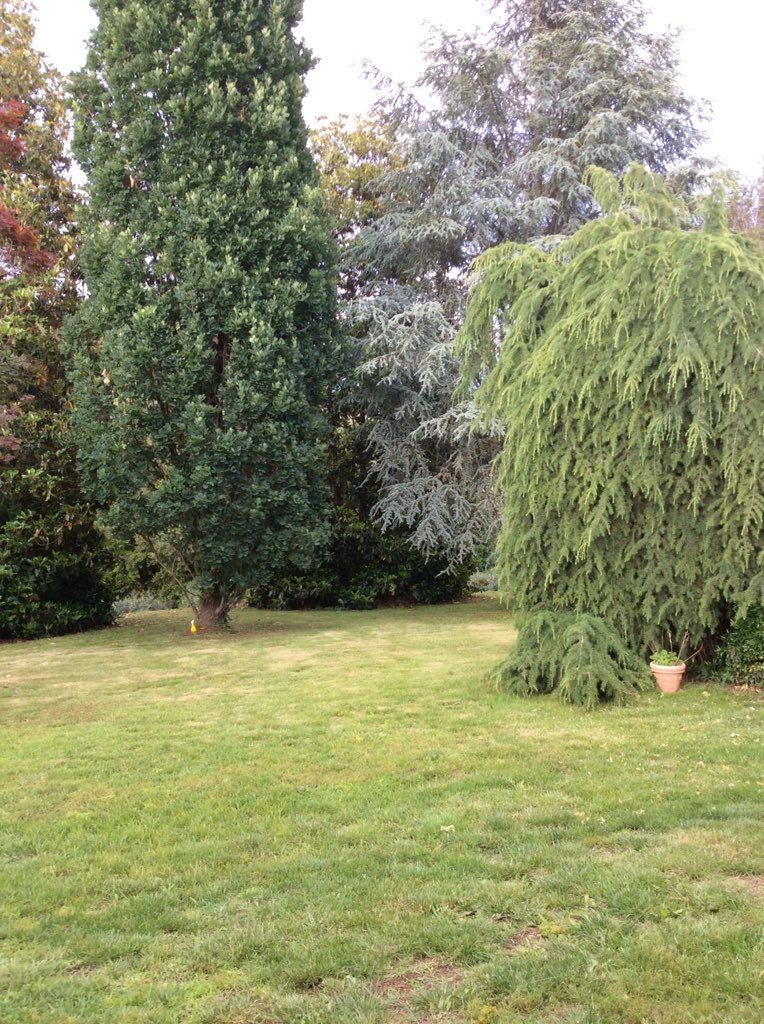 Pomeriggio a casa ma non mi dispiace, qui mi sento libera e in pace con me stessa.