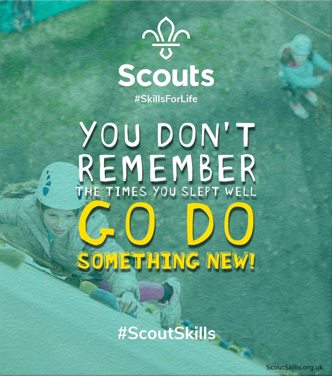 #ScoutSkills tweet media