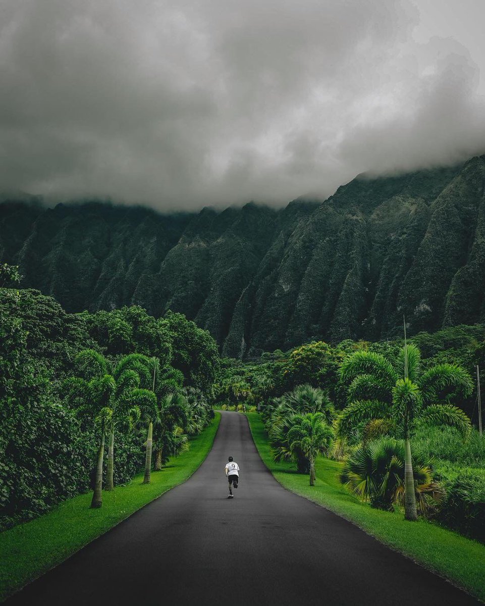 earthposts's tweet photo. Hawaii 🌴 https://t.co/6ztci63GPl