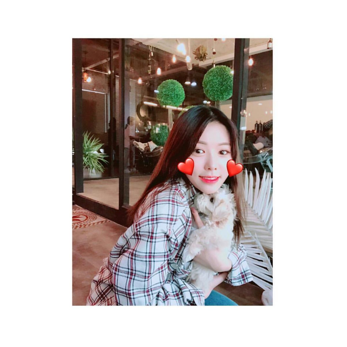 Tildaflowerpot's tweet photo. 서로를 가족이라 칭하는 것도 너무 보기 좋고, 서로를 아끼는 모습도 팬들한테 고스란히 느껴져서 좋다☺
피곤할텐데 푹 쉬고 좋은 꿈꾸길💕
#마틸다 #matilda #해나 #단아 #세미 #새별 #단아동생_단구 https://t.co/MAyiYMBmTr