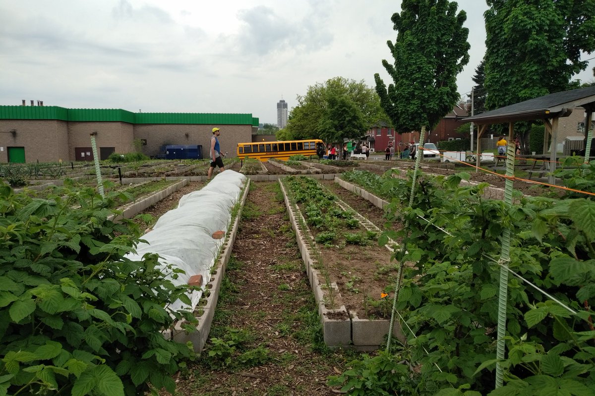 Columbia College students set to bus out after a successful launch of <a href="/HVictoryGardens/">Victory Gardens</a> at the Concord site today. Big thanks to the CIC students and all the volunteers.