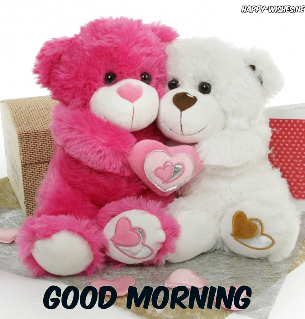 Rani GilL on Twitter:
