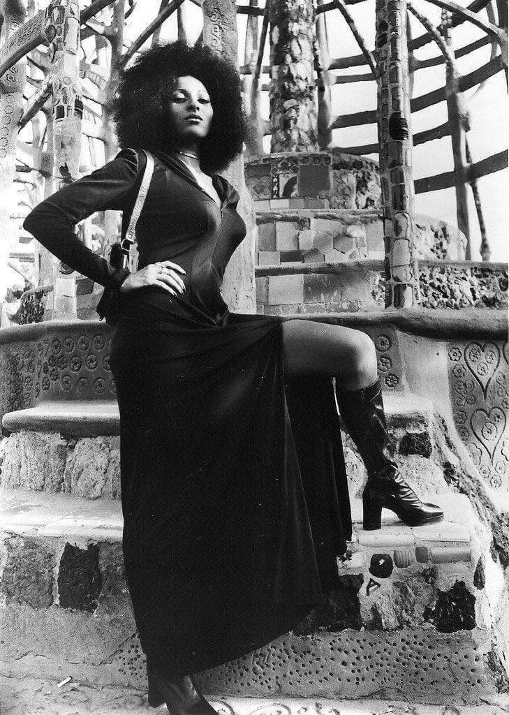 Happy Birthday!!  Pam Grier aka Original \"Foxy Brown\" turning 69 today. 