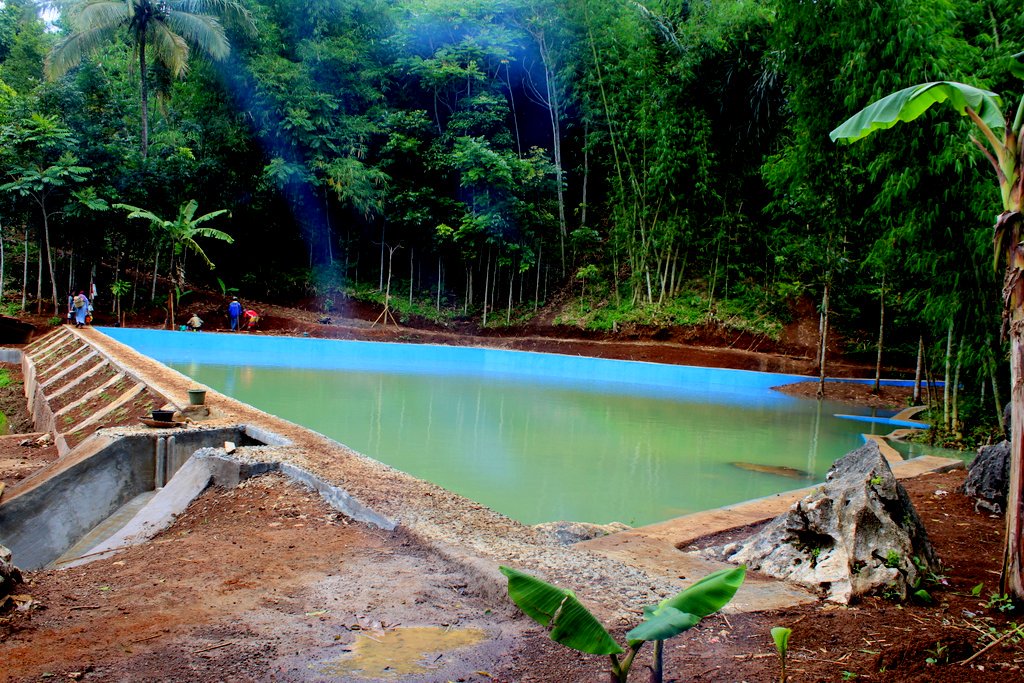 GusgusSoegara's tweet photo. @taufikmadjid71 @EkoSandjojo @anwsanusi @KemenDesa @fachrilabalado @SatgasDanaDesa @tppindonesia #4ProgramPrioritas @KemenDesa #EmbungUntukRakyat @kebonmanggu Kec. GunungguruhKab. Sukabumi #Jabar
@EkoSandjojo @anwsanusi @taufikmadjid71 @fachrilabalado @tppindonesia https://t.co/CDmOAFWDyH