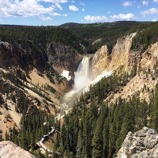#lowerfalls at #grandcanyon of the #Yellowstone #nationalpark #parkit #findyourpark #goparks #rvlife #fulltimetravel #hike #waterfall ift.tt/2saJyC5