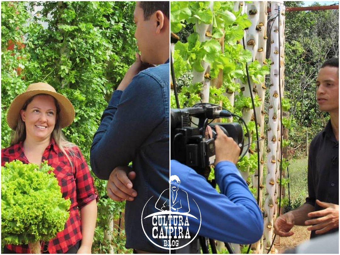 culturacaipira's tweet photo. Nossos amigos Henrique e Gabriela mostrando o que o #Brasil tem de melhor neste domingo no #MSRural, na #Globo a partir das 5:50. Aprenda sobre o plantio de #alface na vertical. @GloboRural @GloboRural #globorural #Grevedecaminhoneiros #culturacaipira #plantio #agricultura https://t.co/1YVYLeF4hw