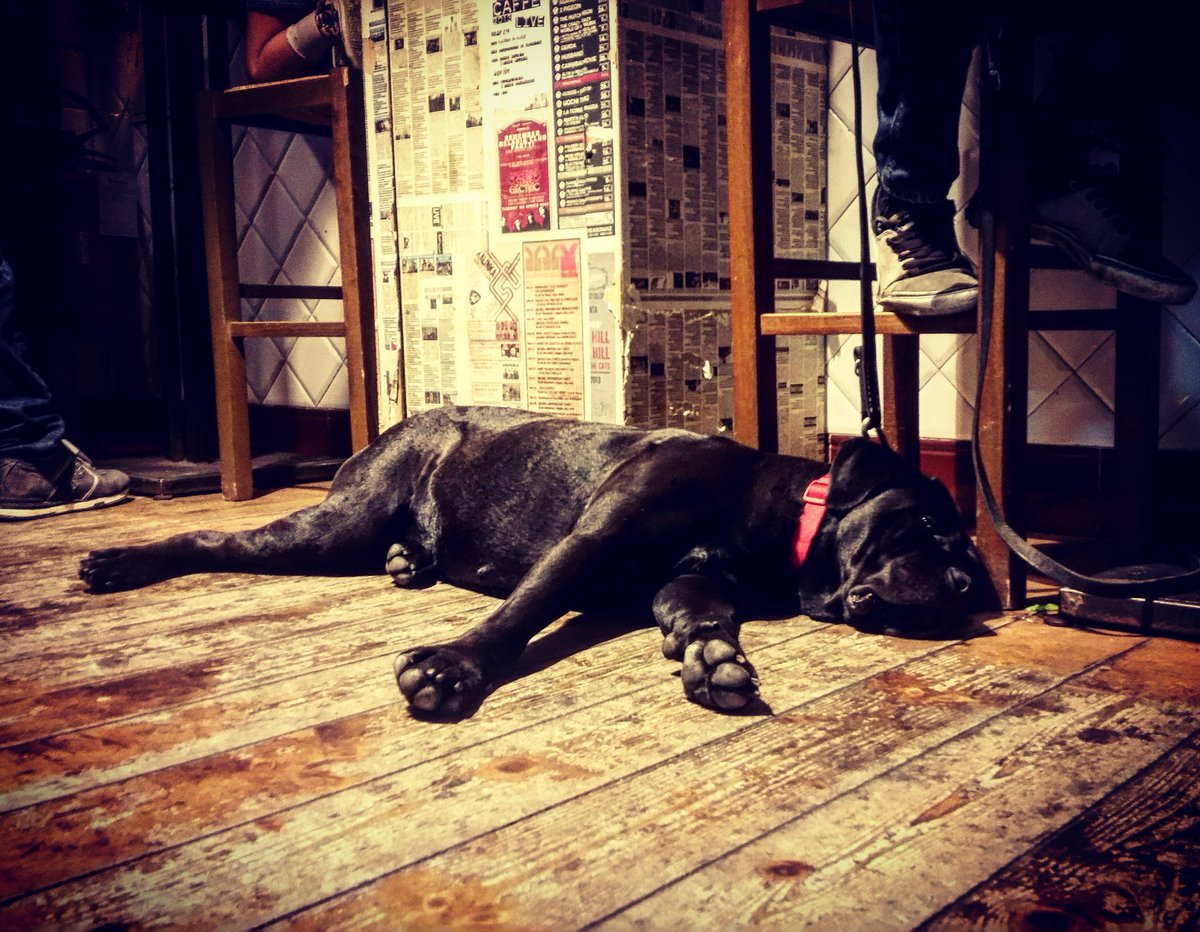 IlMacelloFritto's tweet photo. #perugia #stayfried #friggitoriailmacello #streetfood #streetfoodperugia #streetphotography #streetphoto #cane #dog #pettherapy #animal #free #instagood #instanature #pet_of_instagram #petstagram https://t.co/c8BeXOG0t8