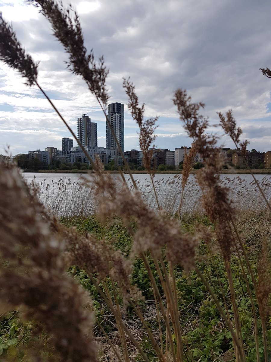 OceanSky_7's tweet image. #landscapephotography #bokehphotography #bokehshot #bokeh #photography #mobilephotography