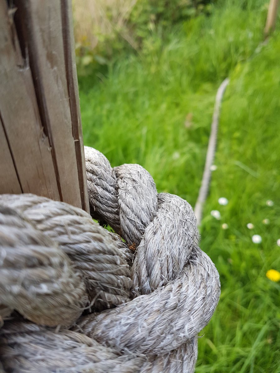 OceanSky_7's tweet image. #bokeh #bokehshot #bokehphotography #mobilephotography