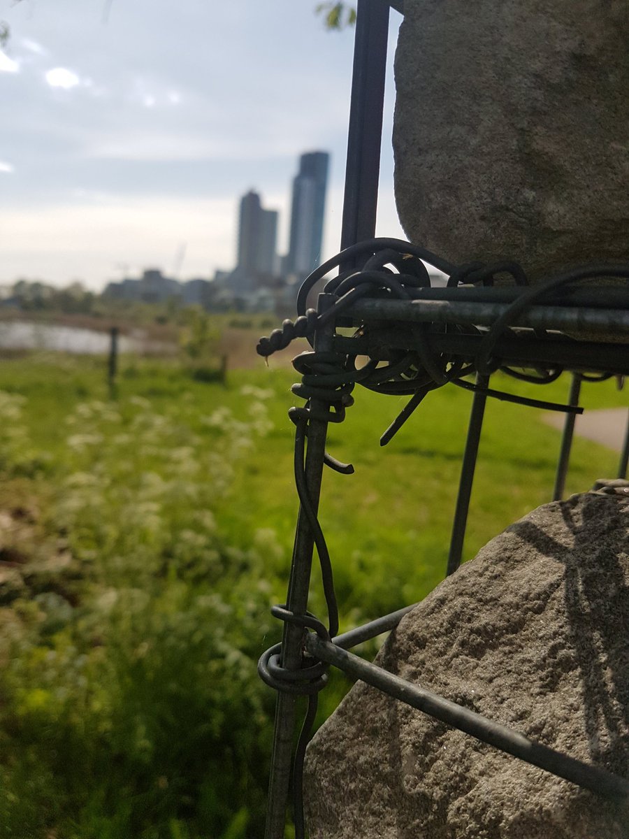 OceanSky_7's tweet image. #bokehphotography #landscape #bokehshot #bokeh #mobilephotography