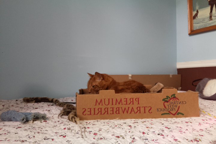 I'm 2345.40% confident this is a carton. Might be a studio couch