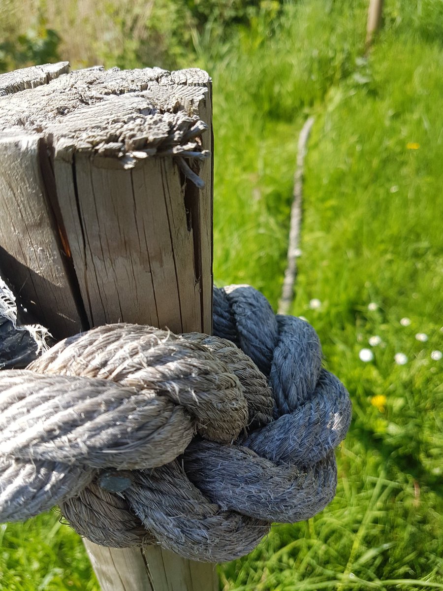 OceanSky_7's tweet image. #bokehshot #bokeh #bokehphotography #mobilephotography