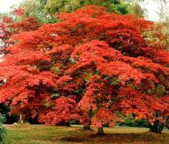 내면의 움직임에 끈임없이 주의를 기울여라.
   ~ 아우렐리우스 명상록