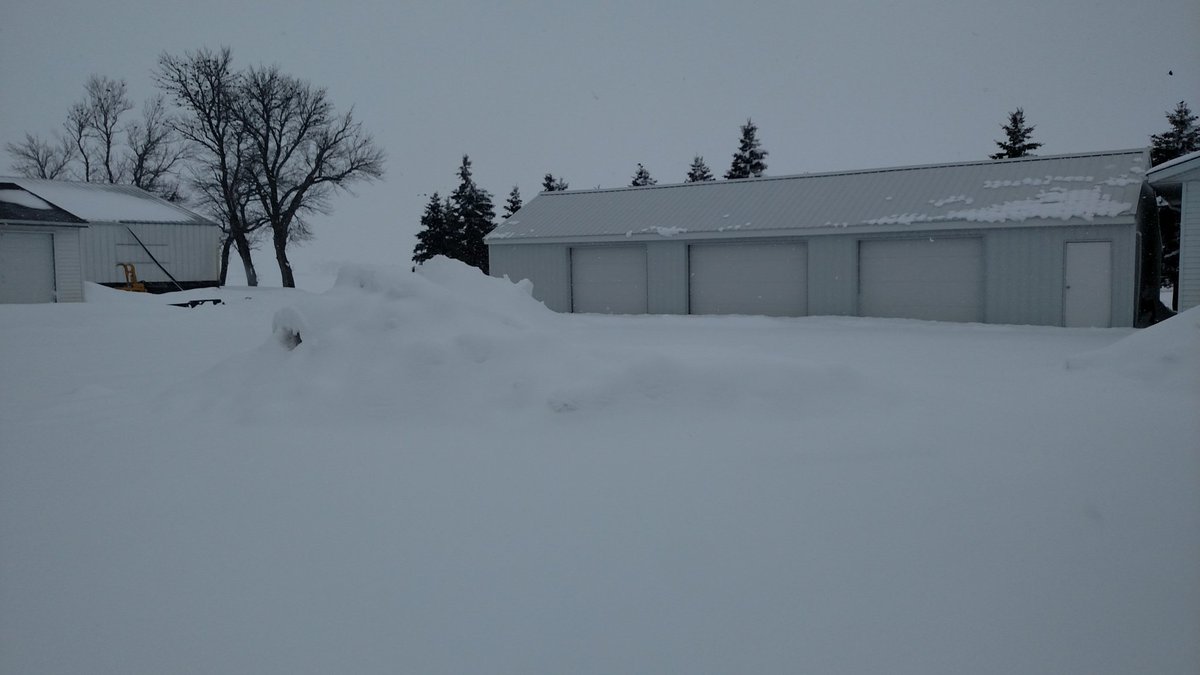 deim56's tweet image. 5 weeks and a day. What a ride! #nospringhere