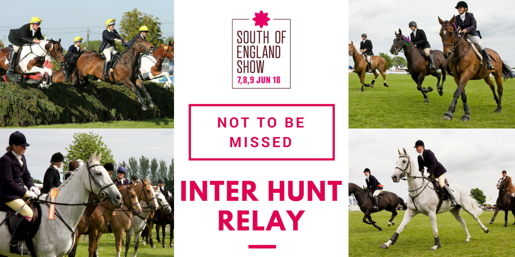 SouthEngShows's tweet photo. We are very excited for this year's Inter Hunt Relay - Don't miss out and book your tickets online here  https://t.co/bBc4t43DD2 and save 15% off the price of your ticket - plus under 16s GO FREE &amp; FREE Parking! #SouthEngShows #SussexLife #Brighton #Ardingly #Equine #InterHunt https://t.co/7Ykmt67B7f
