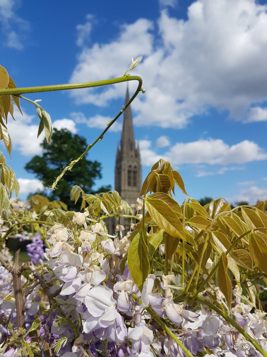 OceanSky_7's tweet image. A voew of #stmaryschurch from #clissoldpark #bokehshot #bokeh #bokehphotography #mobilephotography